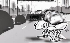 உயிர்களைக் காப்போம்