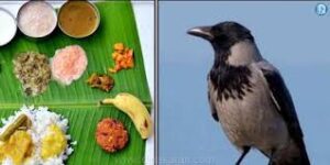 உஷ்-காக்காவும்