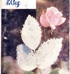 பூவுக்குக்-கீழே