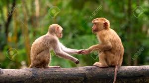 பொறாமை கூடாது