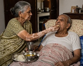 அணில் குத்திகள்